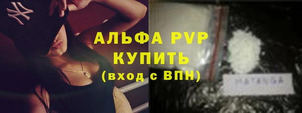 индика Заволжье