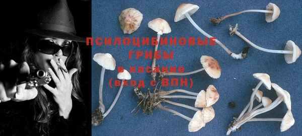 марки nbome Рославль
