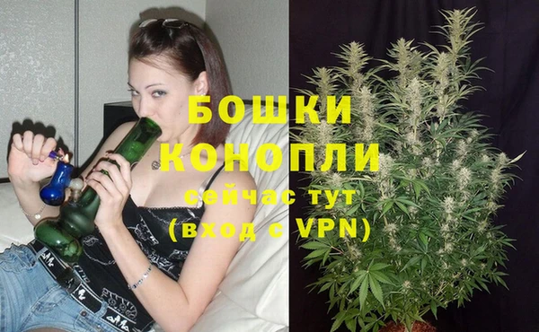 дживик Приозерск